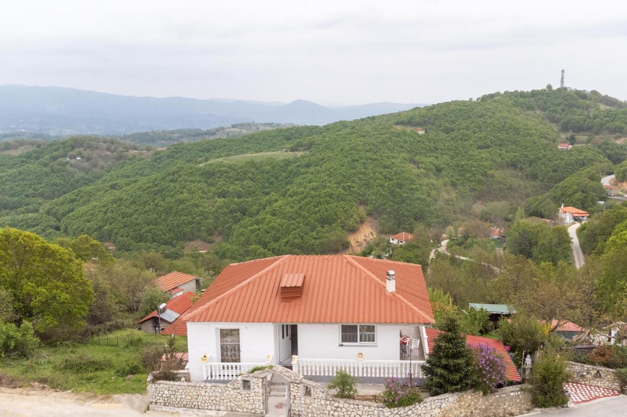 Вилла Vista De Montana Meteora II Vlachava Экстерьер фото
